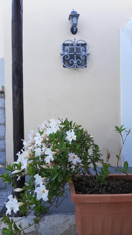 La Sciuscella Villa Conca dei Marini Dış mekan fotoğraf