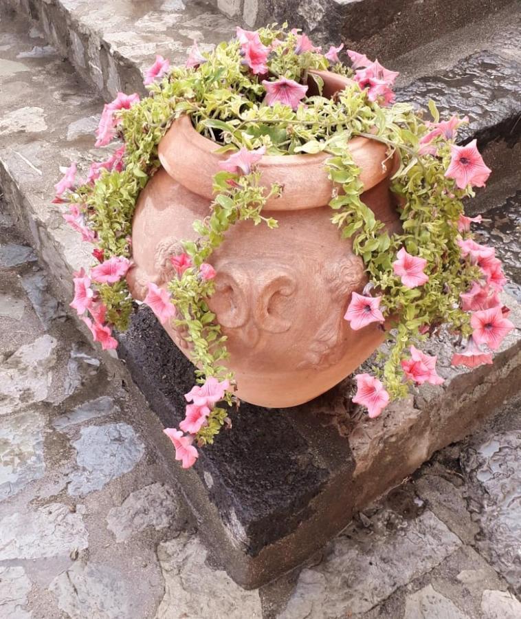 La Sciuscella Villa Conca dei Marini Dış mekan fotoğraf