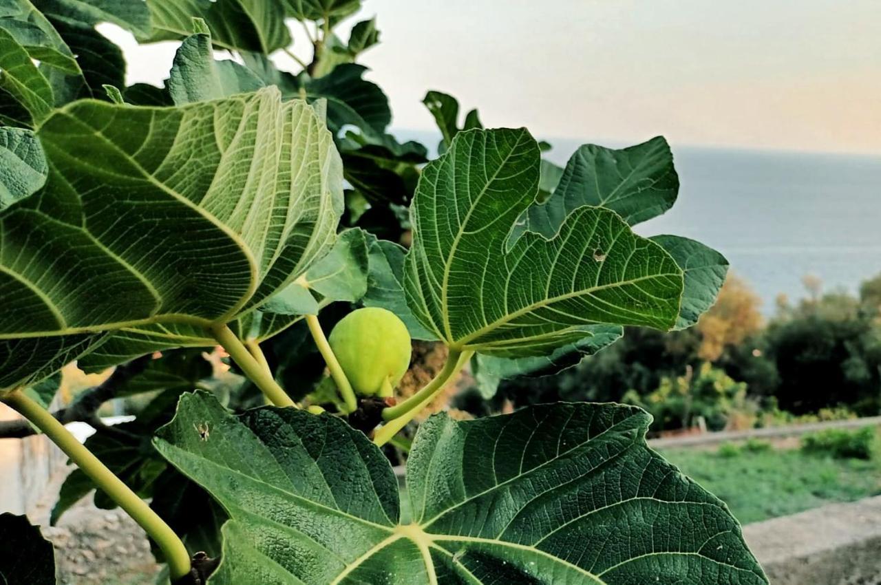 La Sciuscella Villa Conca dei Marini Dış mekan fotoğraf